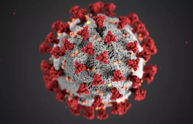 Can number of coronavirus cases go into lakhs in India?