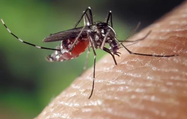 कोविड-19 के साथ ही मलेरिया का भी खतरा न बढ़े, इसके लिए जरूरी बातों का रखें ध्यान