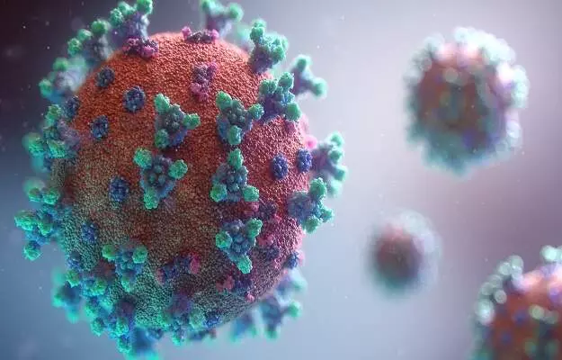 Does nitric oxide kill coronavirus?
