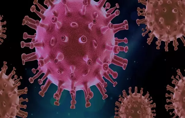 Use of live virus to block coronavirus infection