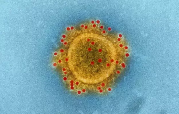 कोविड-19: नोबल पुरस्कार विजेता वैज्ञानिक का दावा, चीन के लैब से ही आया है नया कोरोना वायरस