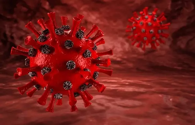 कोविड-19: शोधकर्ताओं का दावा, इन सात राज्यों में कोरोना वायरस फैलने की दर राष्ट्रीय औसत से ज्यादा, जानें मुंबई में कितने समय में हो रही मौतें
