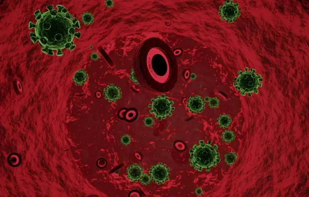 कोविड-19: संक्रमण की शुरुआत में इन दो कोशिकाओं पर सबसे पहले हमला करता है नया कोरोना वायरस- शोध