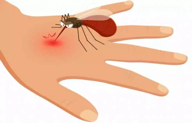 अहम खोज : ऐसा रोगाणु जो मच्छरों को मलेरिया का कैरियर बनने से रोकेगा
