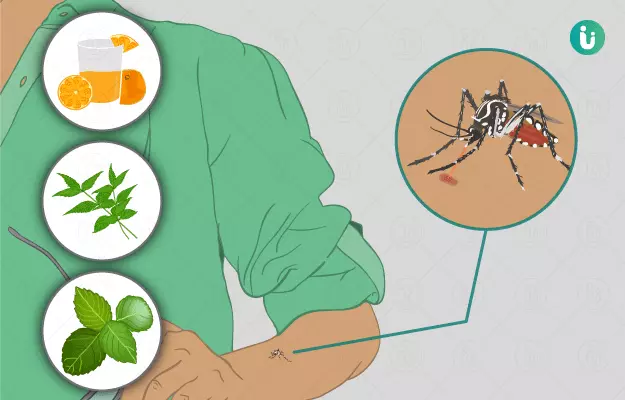 डेंगू के घरेलू उपाय - Home Remedies for Dengue in Hindi