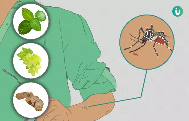 मलेरिया के घरेलू उपाय - Home Remedies for Malaria in Hindi