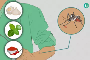 Chikungunya Recovery: Simple Home Remedies That Work