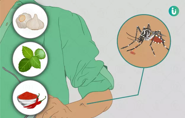 चिकनगुनिया के घरेलू उपाय - Home Remedies for Chikungunya in Hindi