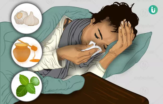 सर्दी जुकाम के घरेलू उपाय - Home remedies for common cold in Hindi