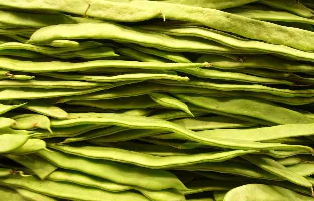 सेम की फली के फायदे और नुकसान - Hyacinth Beans (Sem ki Phali) Benefits and Side Effects in Hindi