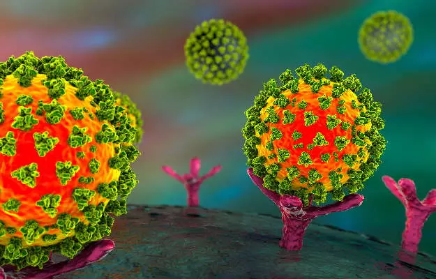 कोविड-19: नया कोरोना वायरस कोशिकाओं में घुसने के लिए एसीई2 के अलावा एक और रिसेप्टर की मदद लेता है- शोध