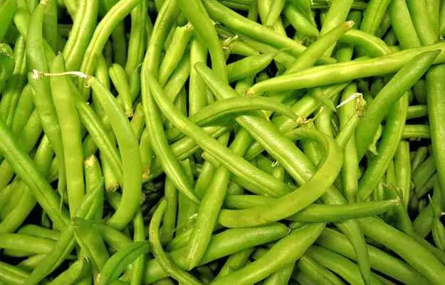 ग्वार फली के फायदे और नुकसान - Cluster Beans (Gawar Phali) Benefits and Side Effects in Hindi
