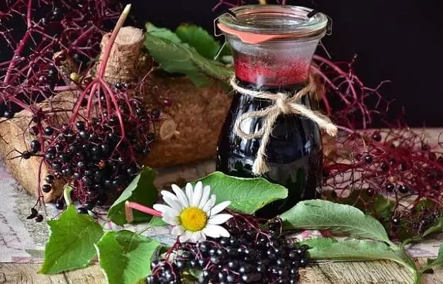 बड़बेरी - Elderberry benefits and side effects in Hindi