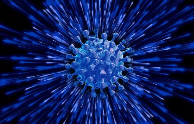 कोविड-19: वैज्ञानिकों ने नए कोरोना वायरस को अपनी कॉपियां बनाने से रोकने वाले पदार्थों की खोज की