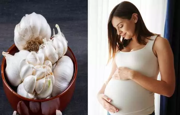 प्रेगनेंसी में लहसुन खाने के फायदे और नुकसान - Eating garlic during pregnancy in hindi