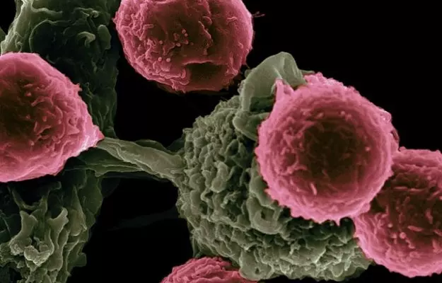 What is the difference between a tumour and cancer?