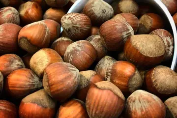 From Snacks to Skincare: Surprising Uses of Hazelnuts