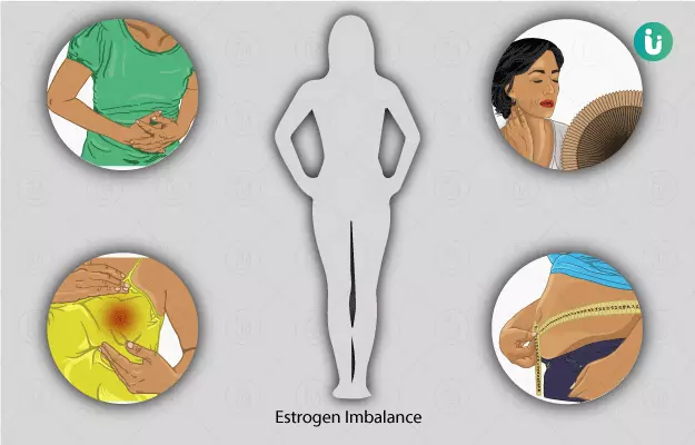 Estrogen: foods, function, benefits and side effects
