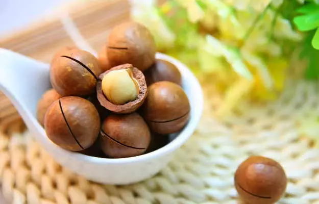 मैकाडामिया नट्स के फायदे और साइड इफेक्ट्स - Benefits and side effects of Macadamia nuts in Hindi