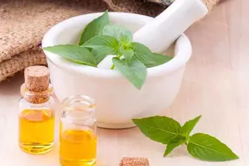 Basil Oil Uses: How to Maximize Its Benefits Safely