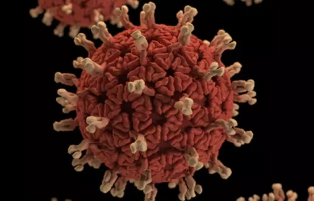 कोविड-19: स्पेन के इस वैज्ञानिक ने बताया, क्यों नया कोरोना वायरस कुछ विशेष अंगों को क्षतिग्रस्त करता है
