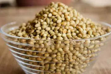 Are Coriander Seeds Good for You? A Guide to Their Pros and Cons