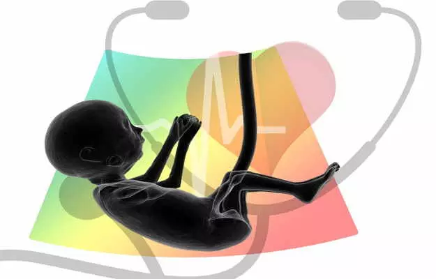 प्रेगनेंसी में बच्चे की हार्टबीट कब आती है और कितनी होनी चाहिए - Fetal heartbeat during pregnancy in Hindi