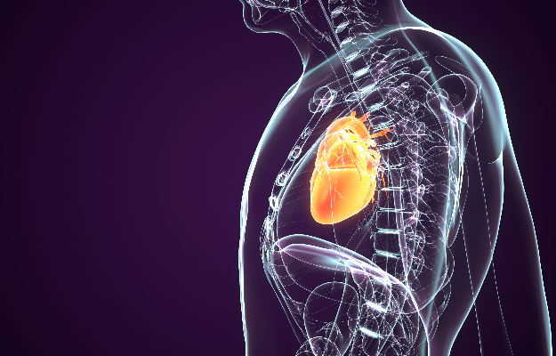 कीमोथेरेपी हृदय क्षति को रिपेयर करने वाली कोशिकाओं में बदलाव कर सकती है, जानें इस नई जानकारी पर क्या कहते हैं वैज्ञानिक