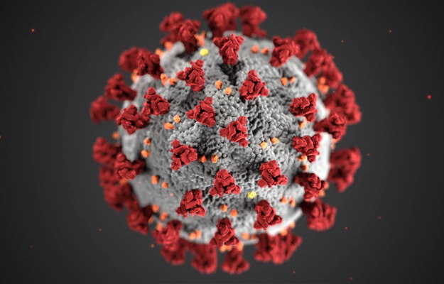 कोविड-19 में होने वाले दर्द से राहत देता है कोरोना वायरस का स्पाइक प्रोटीन, जिससे बढ़ रही है बीमारी: वैज्ञानिक