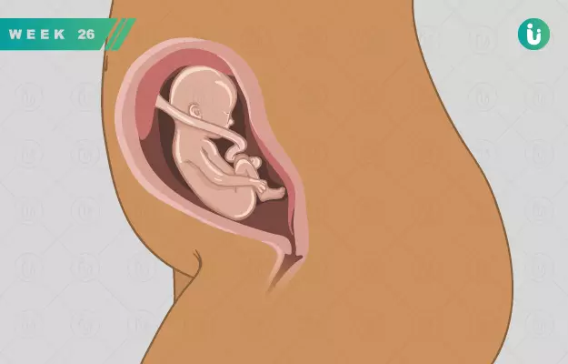गर्भावस्था का 26वां सप्ताह - Pregnancy in 26th week in Hindi