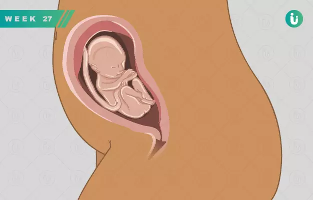 गर्भावस्था का 27वां सप्ताह - Pregnancy in 27th week in Hindi