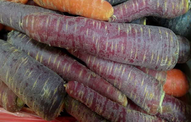 काली गाजर खाने के फायदे और नुकसान - Purple or black carrot benefits and side effects in Hindi