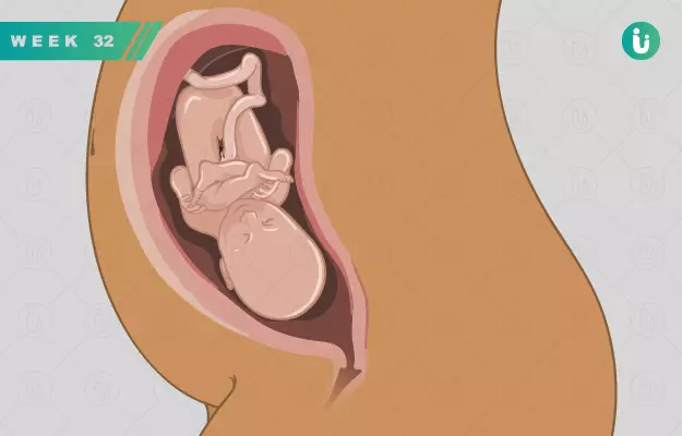 गर्भावस्था का 32वां सप्ताह - Pregnancy in 32nd week in Hindi