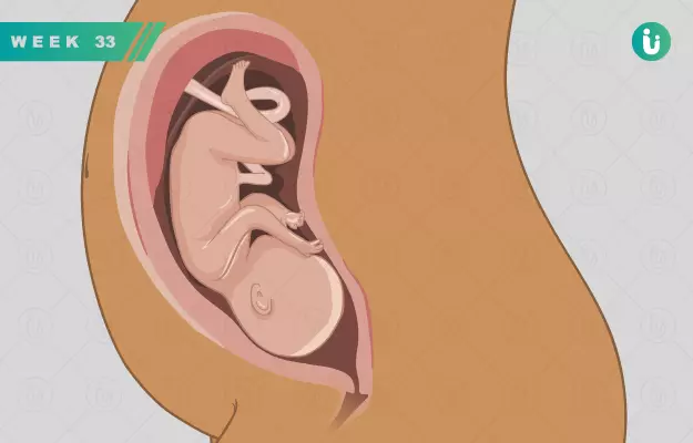 गर्भावस्था का 33वां सप्ताह - Pregnancy in 33rd week in Hindi