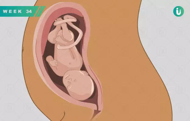 गर्भावस्था का 34वां सप्ताह - Pregnancy in 34th week in Hindi