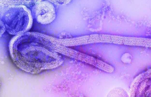 एफडीए ने इनमैजब को इबोला वायरस की दवा के रूप में स्वीकृति दी