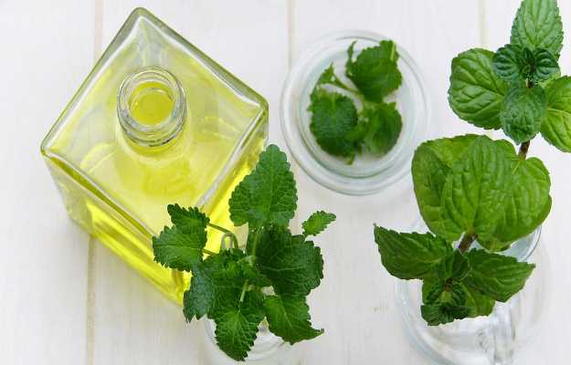 Health Benefits of Peppermint in Hindi