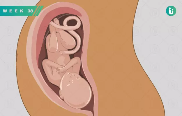गर्भावस्था का 38वां हफ्ता - Pregnancy in 38th week in Hindi