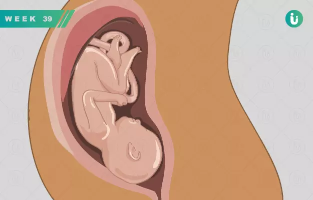 प्रेगनेंसी का 39वां हफ्ता - Pregnancy in 39th week in Hindi