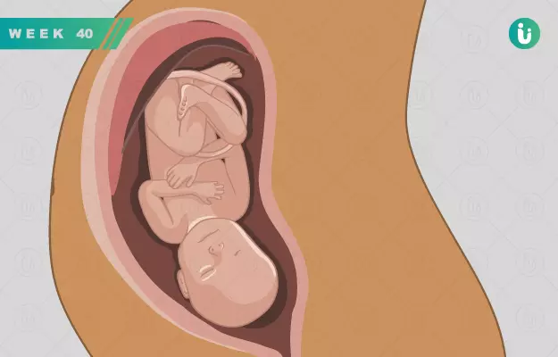 गर्भावस्था का 40वां सप्ताह - Pregnancy in 40th week in Hindi