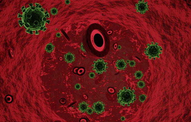 कोविड-19: लाल रक्त कोशिकाओं को डैमेज करने के साथ उनका निर्माण भी रोकता है कोरोना वायरस, रेड मैरो को कर सकता है टार्गेट