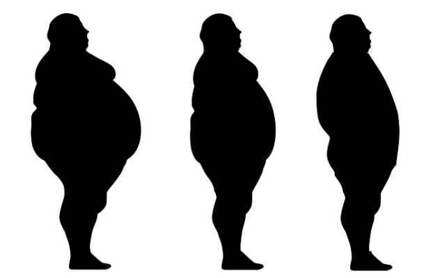 वैज्ञानिकों को इस सिग्नल पाथवे में दिखी मोटापे के खिलाफ उम्मीद, जानें इसके बारे में