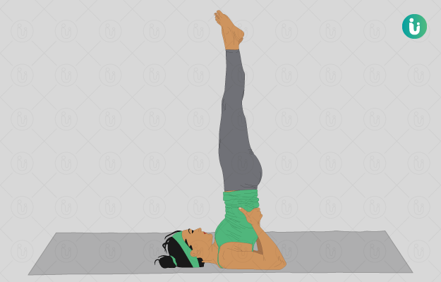 Personal Trainer  Yoga  Bhasinsoft