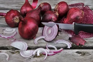 Onions Unveiled: Pros and Cons of This Superfood