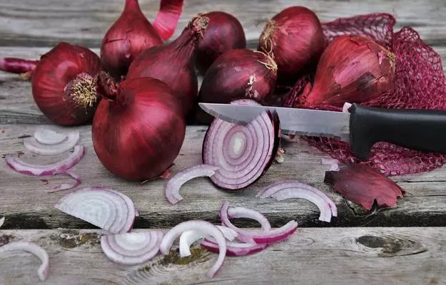 प्याज के फायदे और नुकसान - Onion (Pyaj) Benefits and Side Effects in Hindi