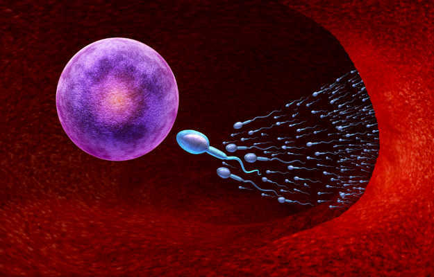 How much minimum sperm count is needed for pregnancy?