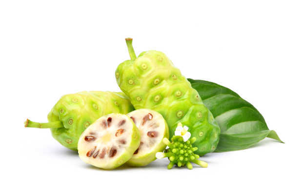 Benefits and side effects of noni fruit