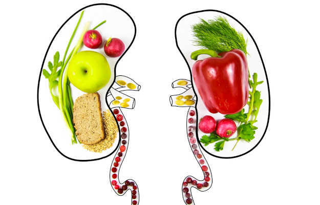 Diet for good kidney health