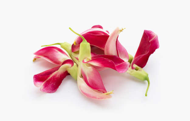 अगस्त फूल के फायदे और नुकसान - Health benefits and side effects of Agastya Flower in Hindi