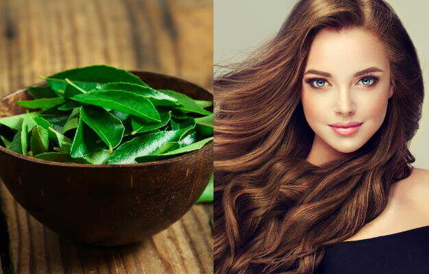 Curry leaves for hair